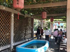 -食家鸽园