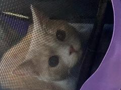 -联合动物医院(光谷诊疗中心)
