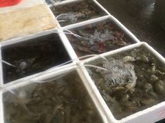 -板桥海鲜广场(文明东店)