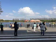 -上海长兴岛郊野公园