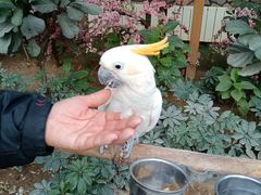 -南宫五洲植物乐园