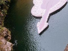 -龙湾潭国家森林公园