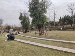 -府河摄影公园