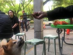 -小狗面馆(复兴店)