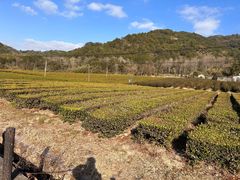 -东钱湖旅游度假区