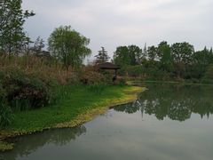 -桤木河湿地公园