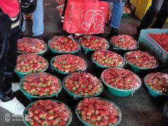 -江杨农产品批发市场