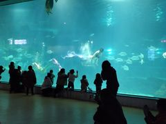 -福州罗源湾海洋世界旅游区