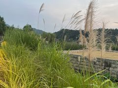 -东钱湖旅游度假区