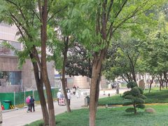 -西京医院