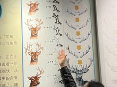 -北京麋鹿生态实验中心
