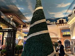 -深圳威尼斯英迪格酒店