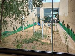 -恩格贝生态旅游区