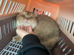 -comecome来吧宠物(奥克斯中心店)