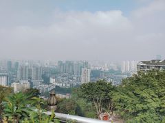 -鸿恩陶然大观园