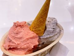 -极拉图·现制冰淇淋(大卫城店)