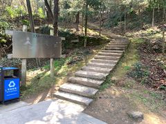 -上海佘山国家森林公园天马山园