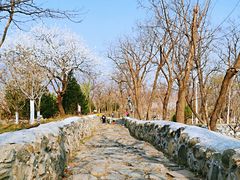 -阳台山自然风景区