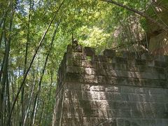 -铁山坪森林公园