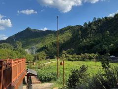 -芦茨金富饭庄·25年老字号·专做稻草鸡