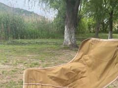 -长广溪湿地公园
