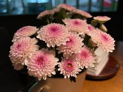 -菩提素素食餐厅(晶郦馆店)