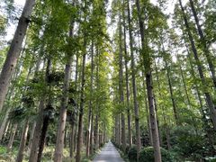 -上海怡沁园度假酒店