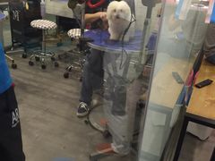 -PETKIT小佩宠物(古北店)