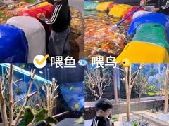 -顺德南宏海立方海洋公园