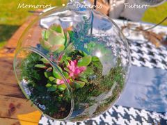 -武汉紫薇都市田园