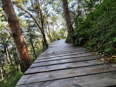 -白草畔自然风景区