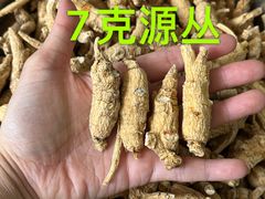 -清平中药材专业市场