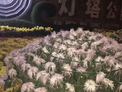 -五通灯塔公园