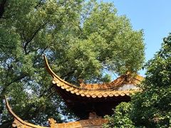-浙江省博物馆(孤山馆区)