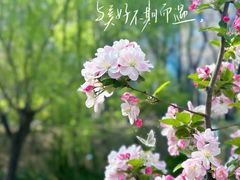 -元大都城垣遗址公园