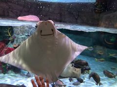 -沈阳海洋探索中心