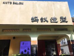 点击看大图 -蚂蚁造型沙龙