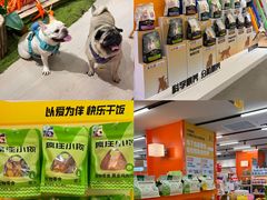 -帕帕拉兹宠物(亚洲旗舰店)