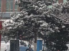 -北京九华山庄会展酒店