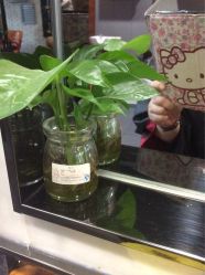 -MAGIC米几发型设计·羊毛卷