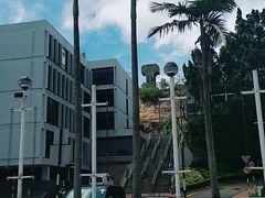 -大埔公路-马料水段香港中文大学(公交站)