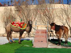 -清河半岛温泉度假酒店