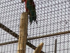 -石家庄市动物园