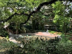 -香港大学