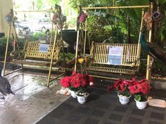 -西双版纳融创皇冠假日度假酒店