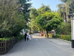-深圳野生动物园