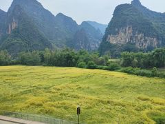-明仕田园