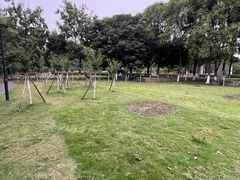 -沙河三洞古桥公园