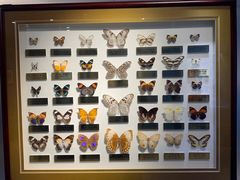 -上海昆虫博物馆