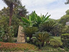 -复旦大学附属华山医院(总院)